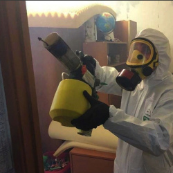 Уничтожение клопов в квартире. Суджа